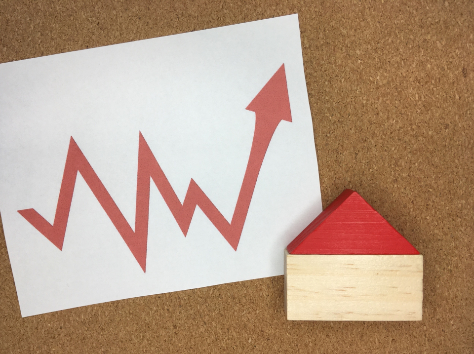 富良野市字西扇山の家賃相場